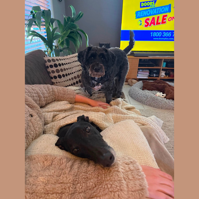 Photo of Chloe 
