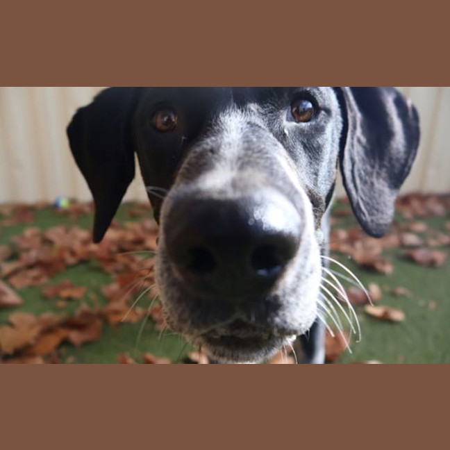 Photo of Gus