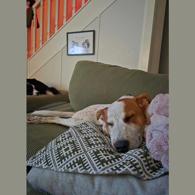 Photo of Duncan