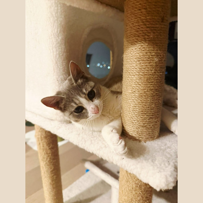 Photo of Thumbelina