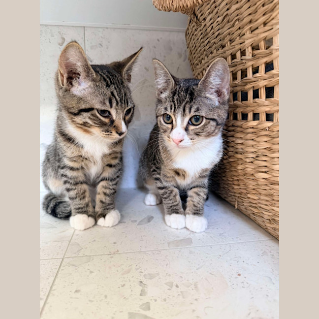 Photo of Gary & Harriet 