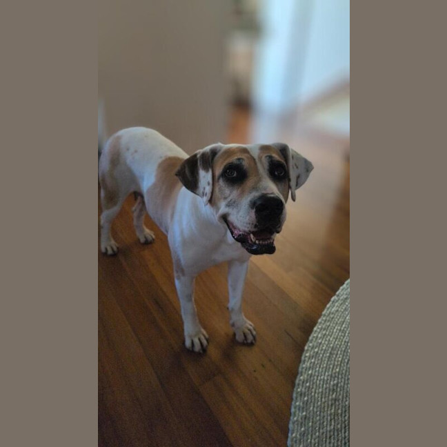 Photo of Katie