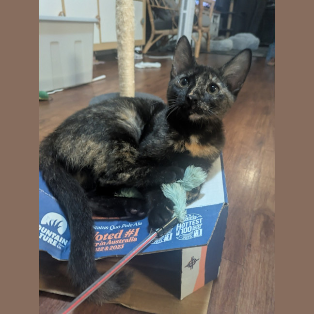 Photo of Luna