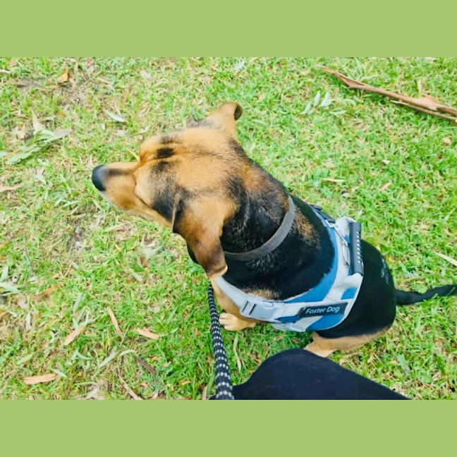 Photo of Missy