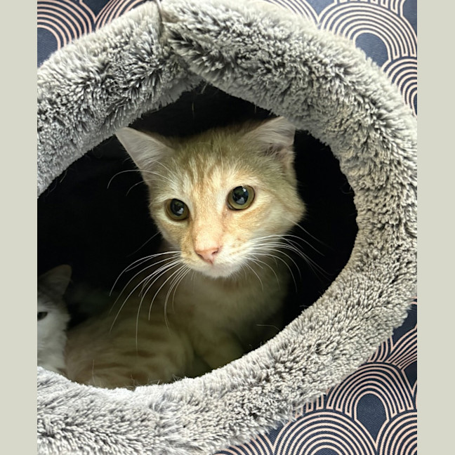 Photo of Mr. Handsome