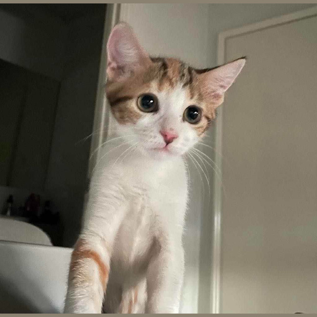 Photo of Joy