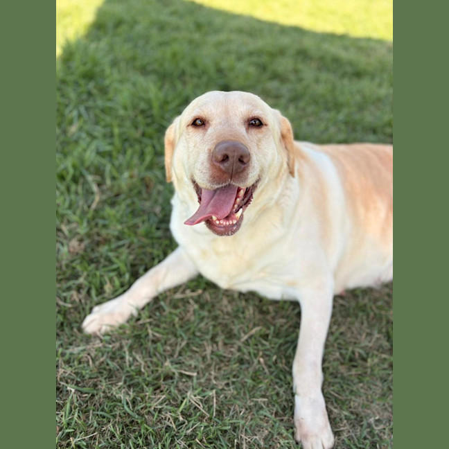 Photo of Lexi