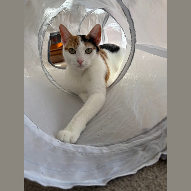 Photo of Denae