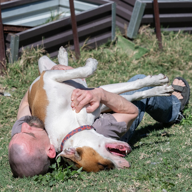 Photo of Rusty