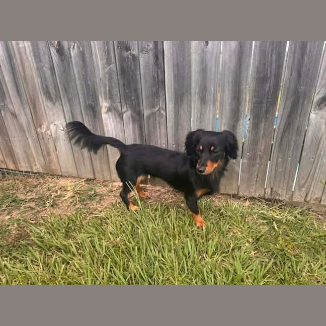 Photo of Mabel