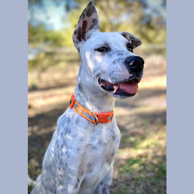 Photo of Vinnie