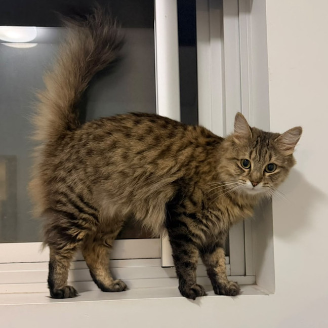 Photo of Willa
