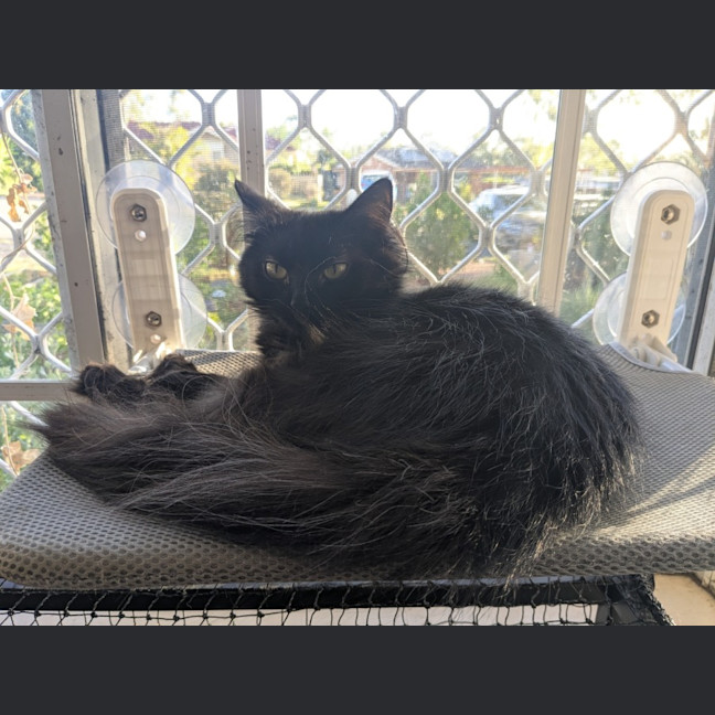 Photo of Belle