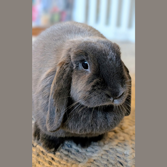 Photo of Louise