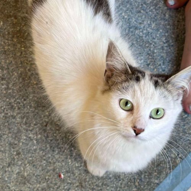 Photo of Lilly