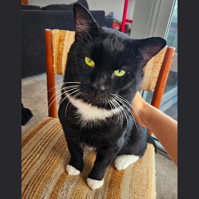 Photo of Edwin