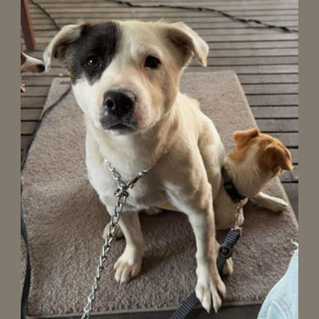 Photo of Captain Feathersword