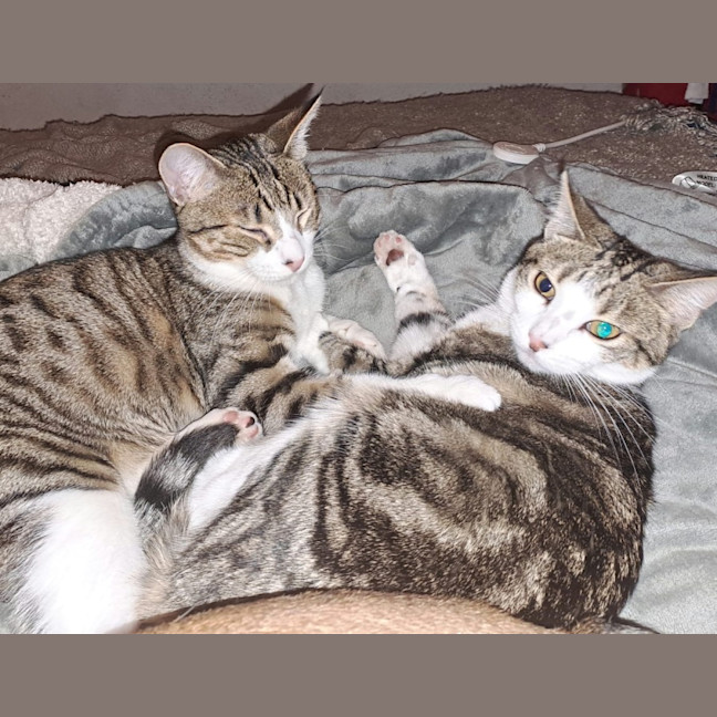 Photo of Everhart & Fairlight