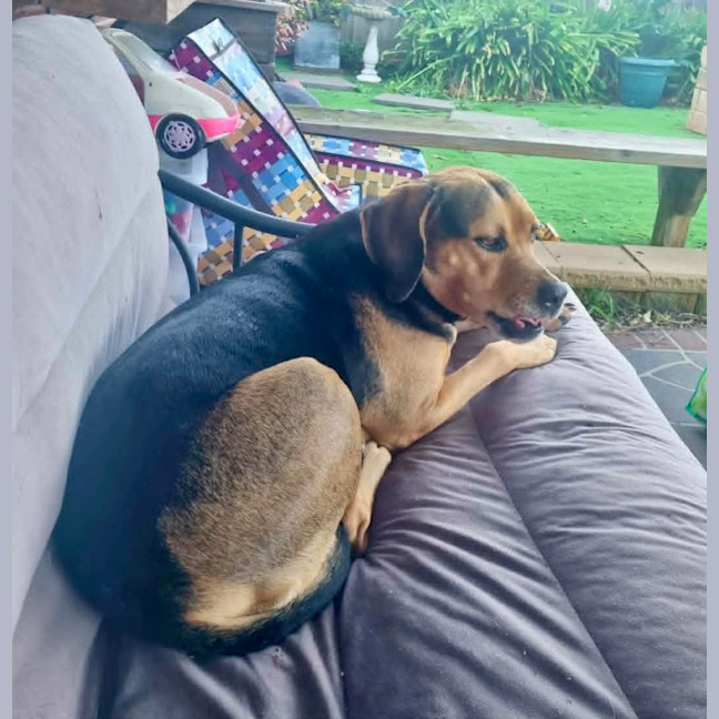 Photo of Missy