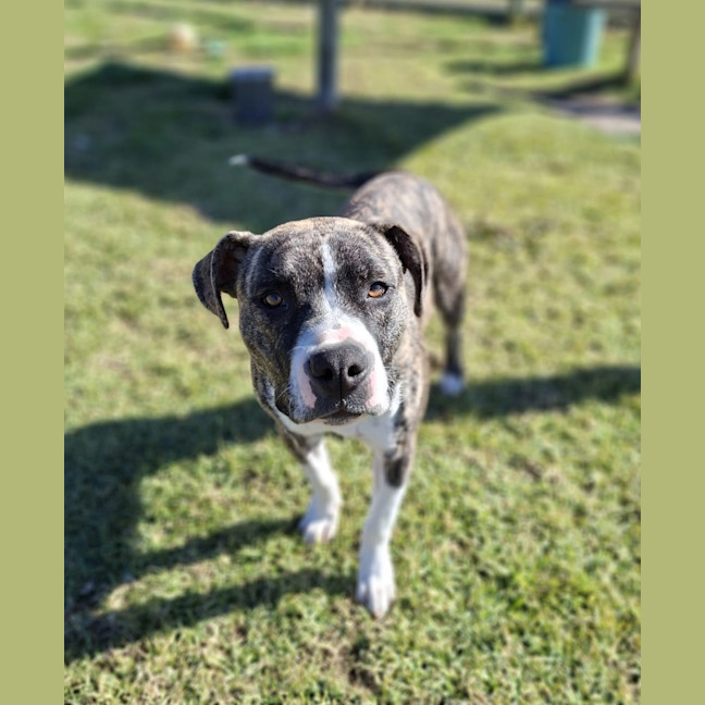 Photo of Cenric Riley