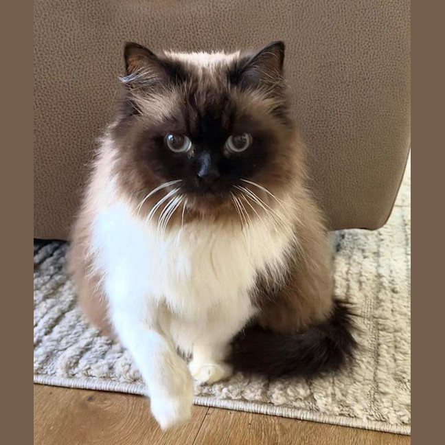 Photo of Maggie