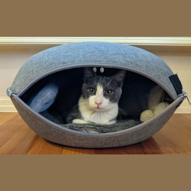 Photo of Jasper