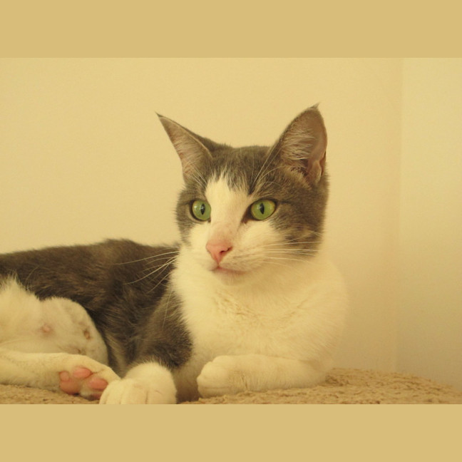 Photo of Maisey