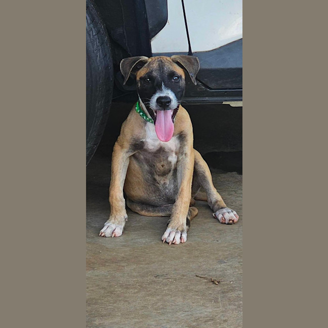 Photo of Eli