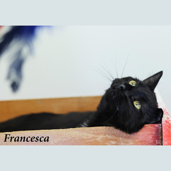 Photo of Francesca