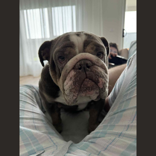 Photo of Breeze