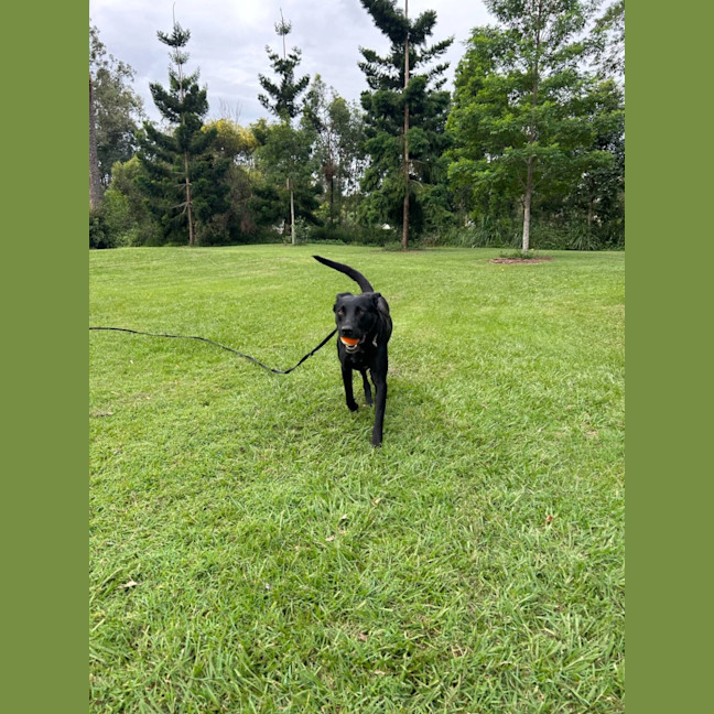 Photo of Sookie