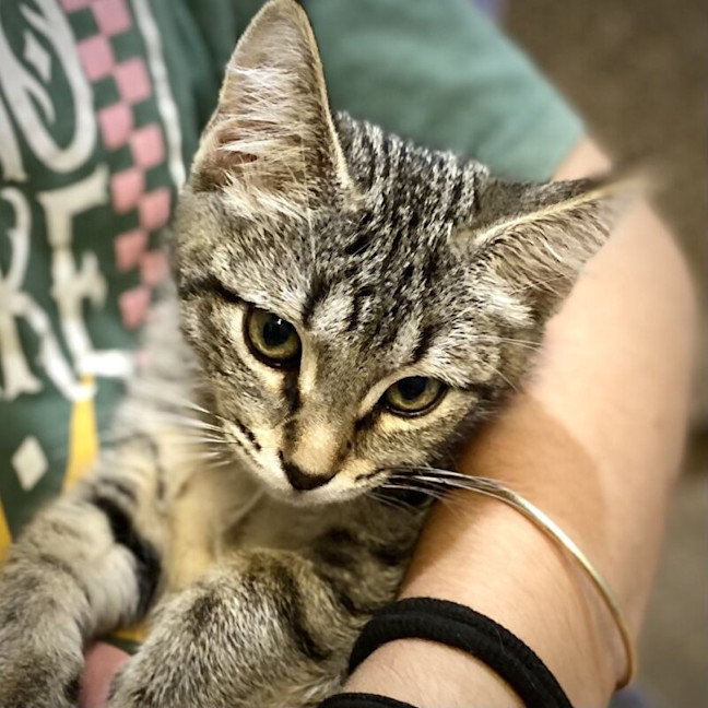Photo of Ronan