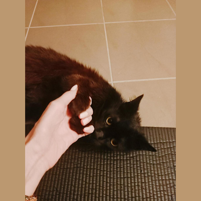 Photo of Sammy