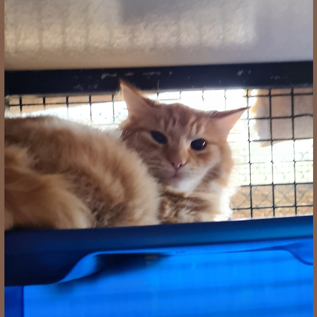 Photo of Bon
