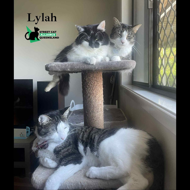 Photo of Lylah