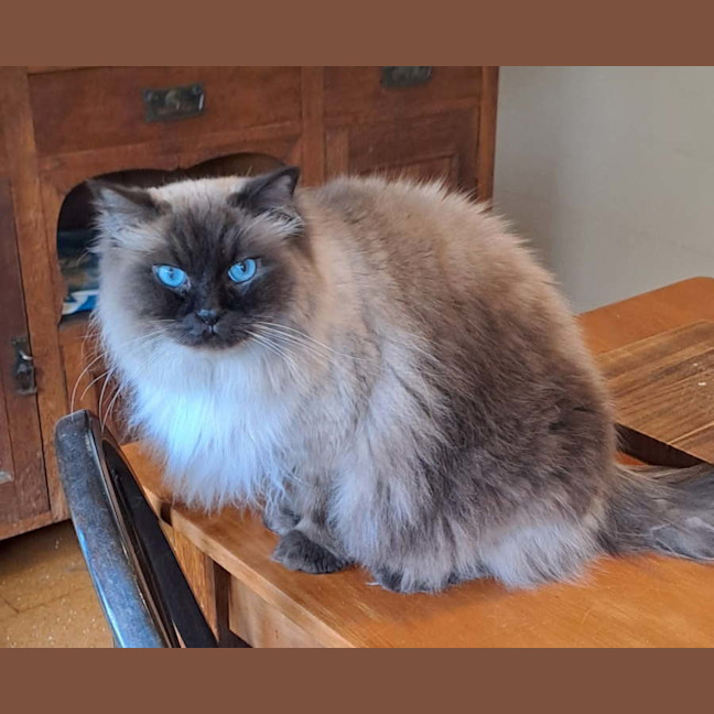 Photo of Hamish 