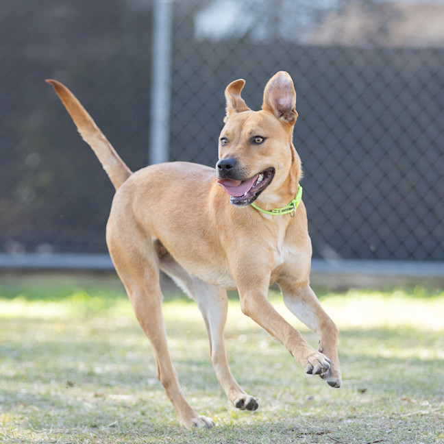 Photo of Sugar