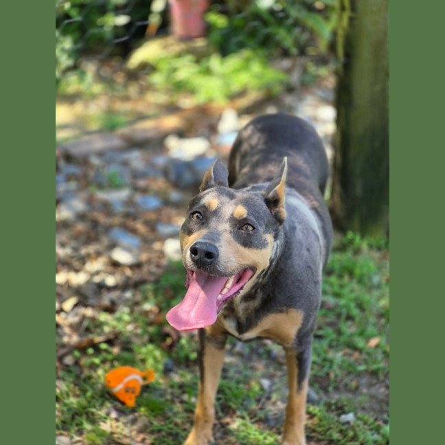 Photo of Milly 