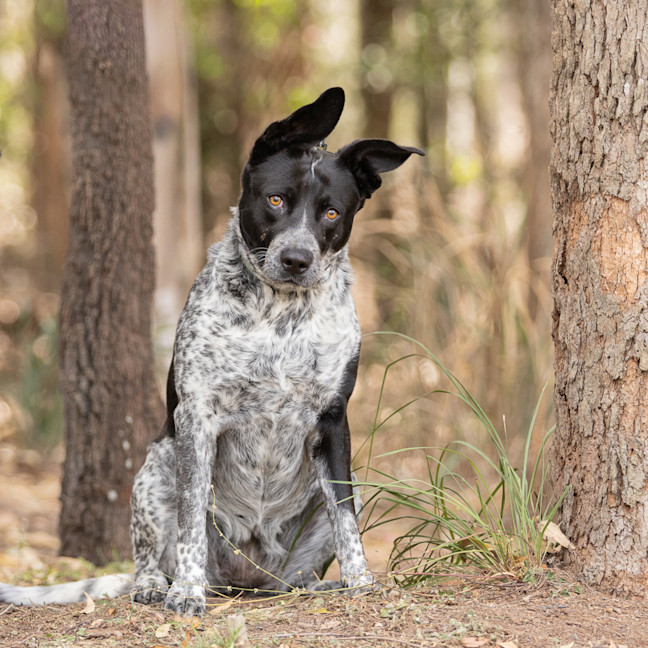 Photo of Molly