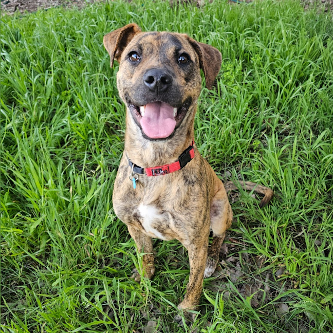 Photo of Reggie