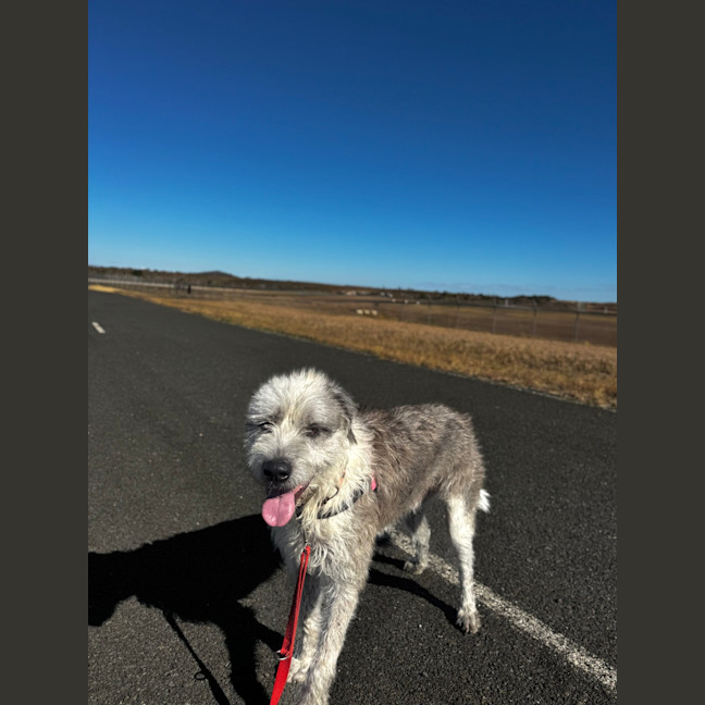 Photo of Winston 