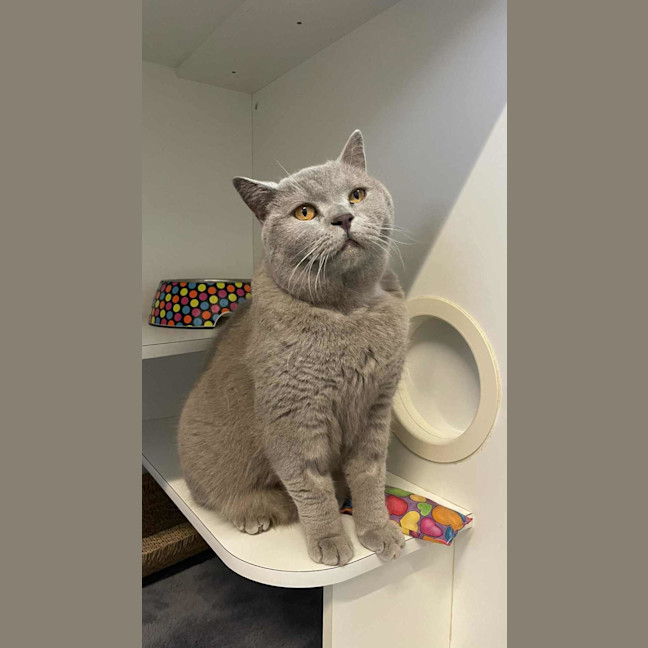 Photo of Oliver 