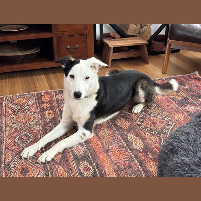 Photo of Xena Uffelman