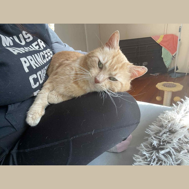 Photo of Thomas