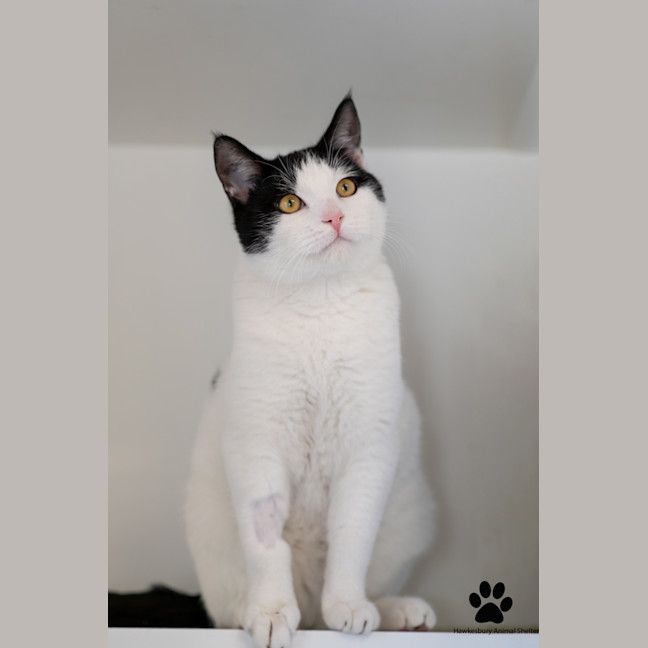 Photo of Max