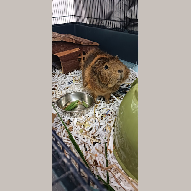 Photo of Theodore
