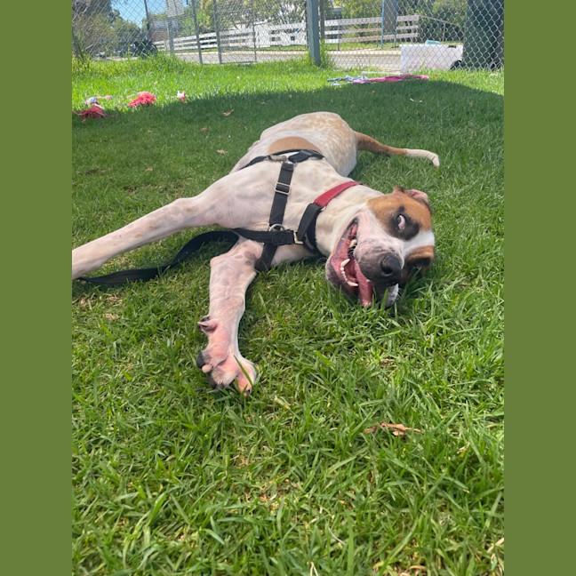 Photo of Axel