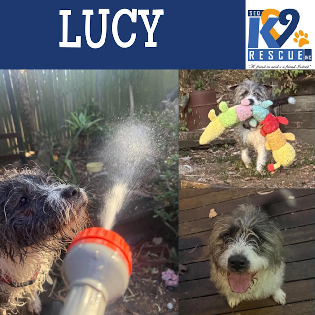 Photo of Lucy