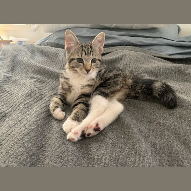Photo of Bobbie