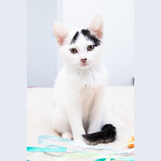 Photo of Cupid